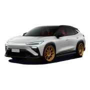 Tiggo 6