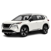 Rogue T33 (2020>)