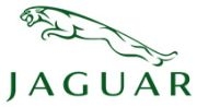 Авто килимки JAGUAR (Ягуар)