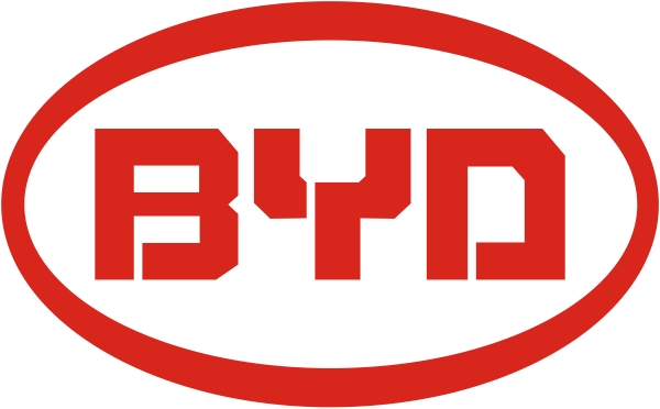 Авто килимки BYD (БіАйДі)