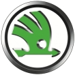 Авто килимки SKODA (Шкода)