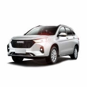  HAVAL Haval M6