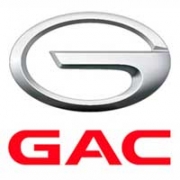 Авто килимки GAC