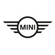 Авто килимки MINI (Міні)