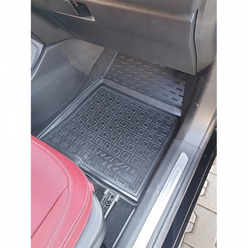 Килимки салону полiуритановi  HAVAL (Хавал) H6 2021- - 3