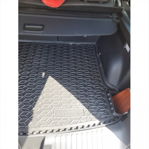 Килимки багажнику полiуритановi  HAVAL (Хавал) Dargo - 2