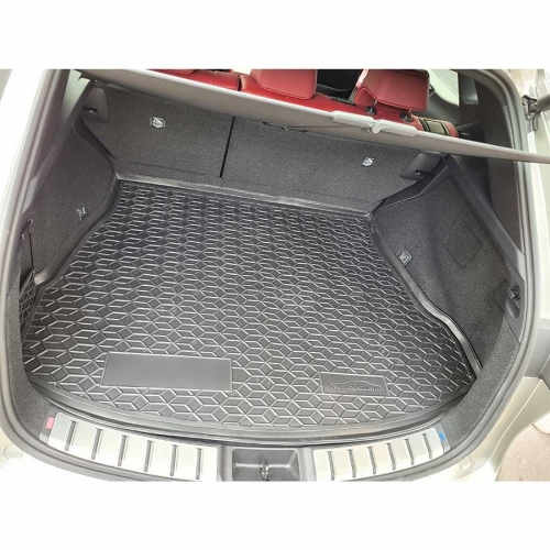 Килимки багажнику полiуритановi  LEXUS (Лексус) NX-II-250-2022 - 2