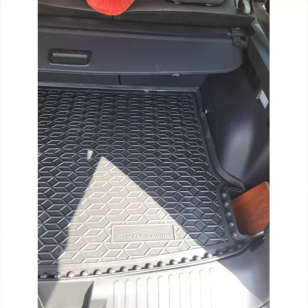 Килимки багажнику поліуретанові HAVAL (Хавал) Dargo - 2