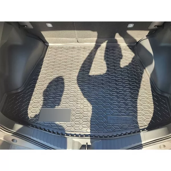 Килимки багажнику поліуретанові TOYOTA (Тойота) bZ4X (2022>) - 1
