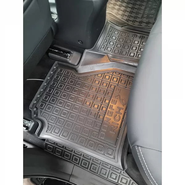 Килимки салону поліуретанові   _ DONGFENG (Донг Фенг) Rich 6 - 7