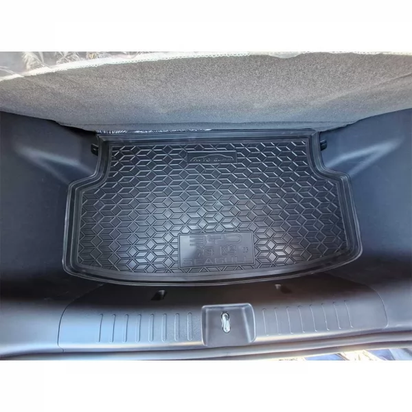 Килимки багажнику поліуретанові    BYD (БіАйДі) Seagull - 2