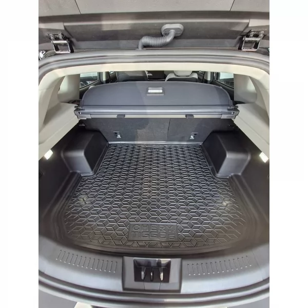 Килимки багажнику поліуретанові CHERY (Чері) Tiggo 6