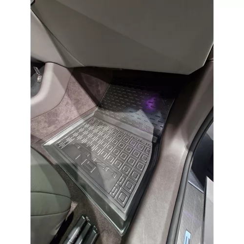 Polyurethane interior mats DENZA N9 (6місць) - 2